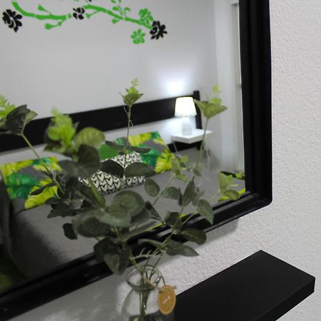 Surycan Tropical Garden Apartment Playa del Ingles  Dış mekan fotoğraf