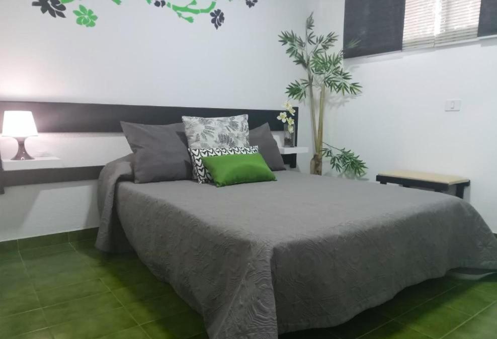 Surycan Tropical Garden Apartment Playa del Ingles  Dış mekan fotoğraf